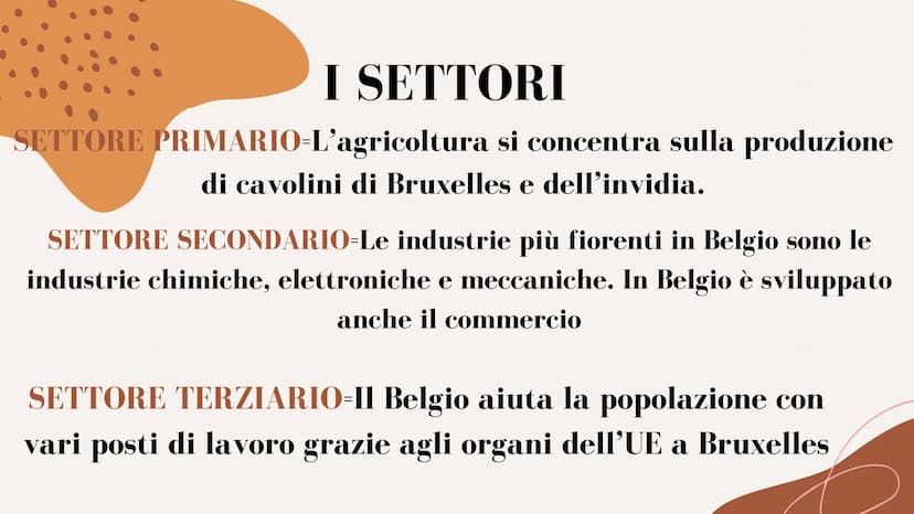 IL BELGIO INTRODUZIONE
Belgio è caratterizzato da 3 regioni naturali:
pianura, regioni collinari e i rilievi delle Ardenne.
Confina con la F