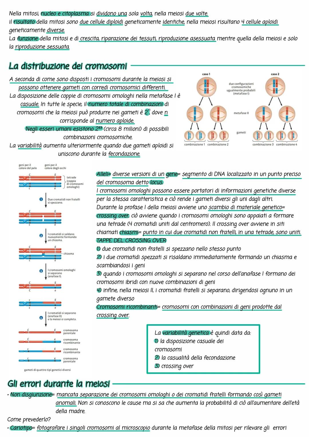 Divisione cellulare.
La riproduzione non riguarda solo la nascita di nuovi organismi ma avviene spesso anche a livello cellulare.
Esistono d