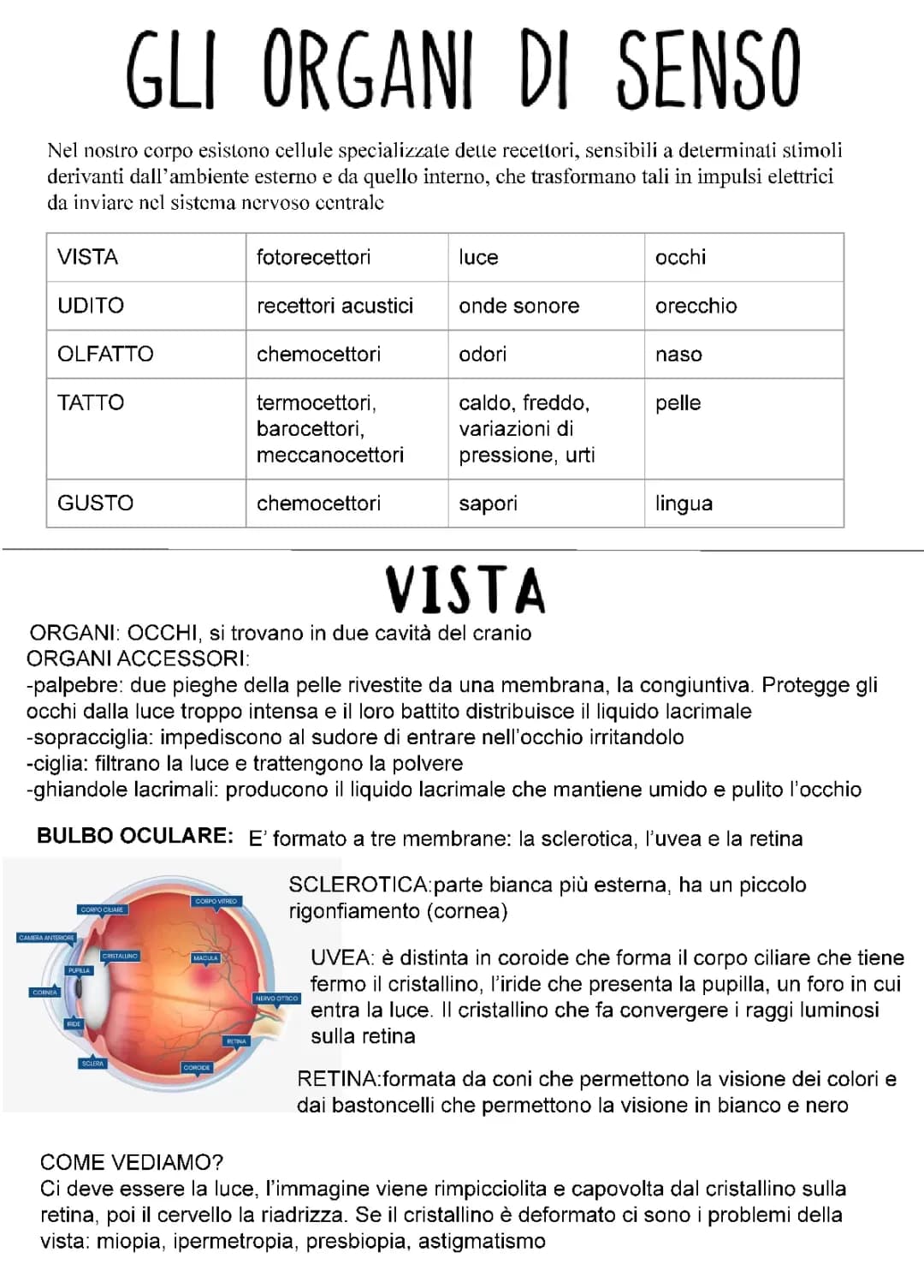 organi di senso