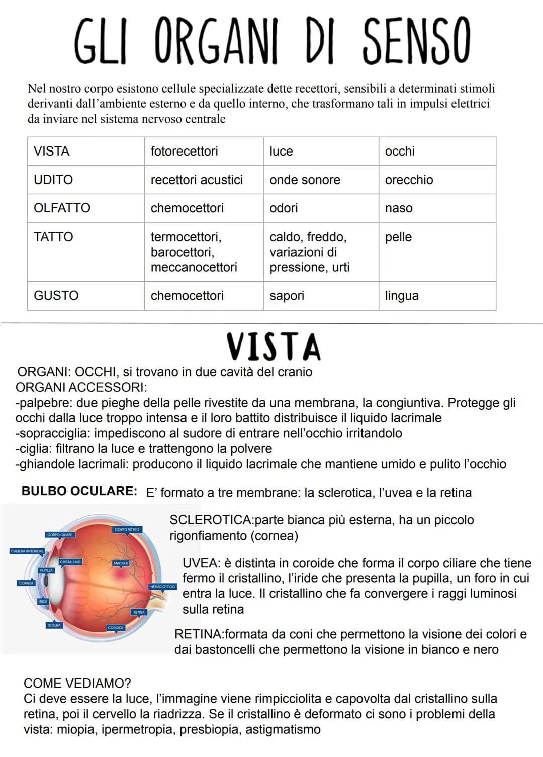 GLI ORGANI DI SENSO
Nel nostro corpo esistono cellule specializzate dette recettori, sensibili a determinati stimoli
derivanti dall'ambiente