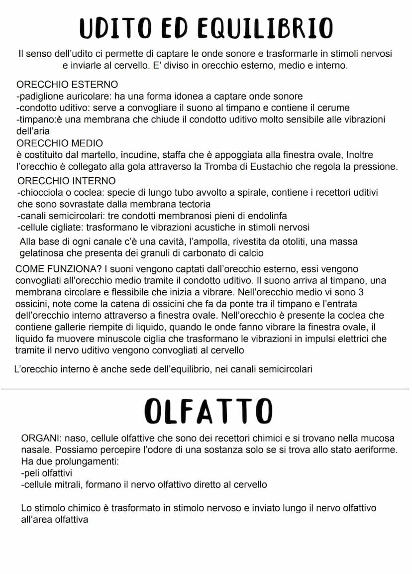 GLI ORGANI DI SENSO
Nel nostro corpo esistono cellule specializzate dette recettori, sensibili a determinati stimoli
derivanti dall'ambiente