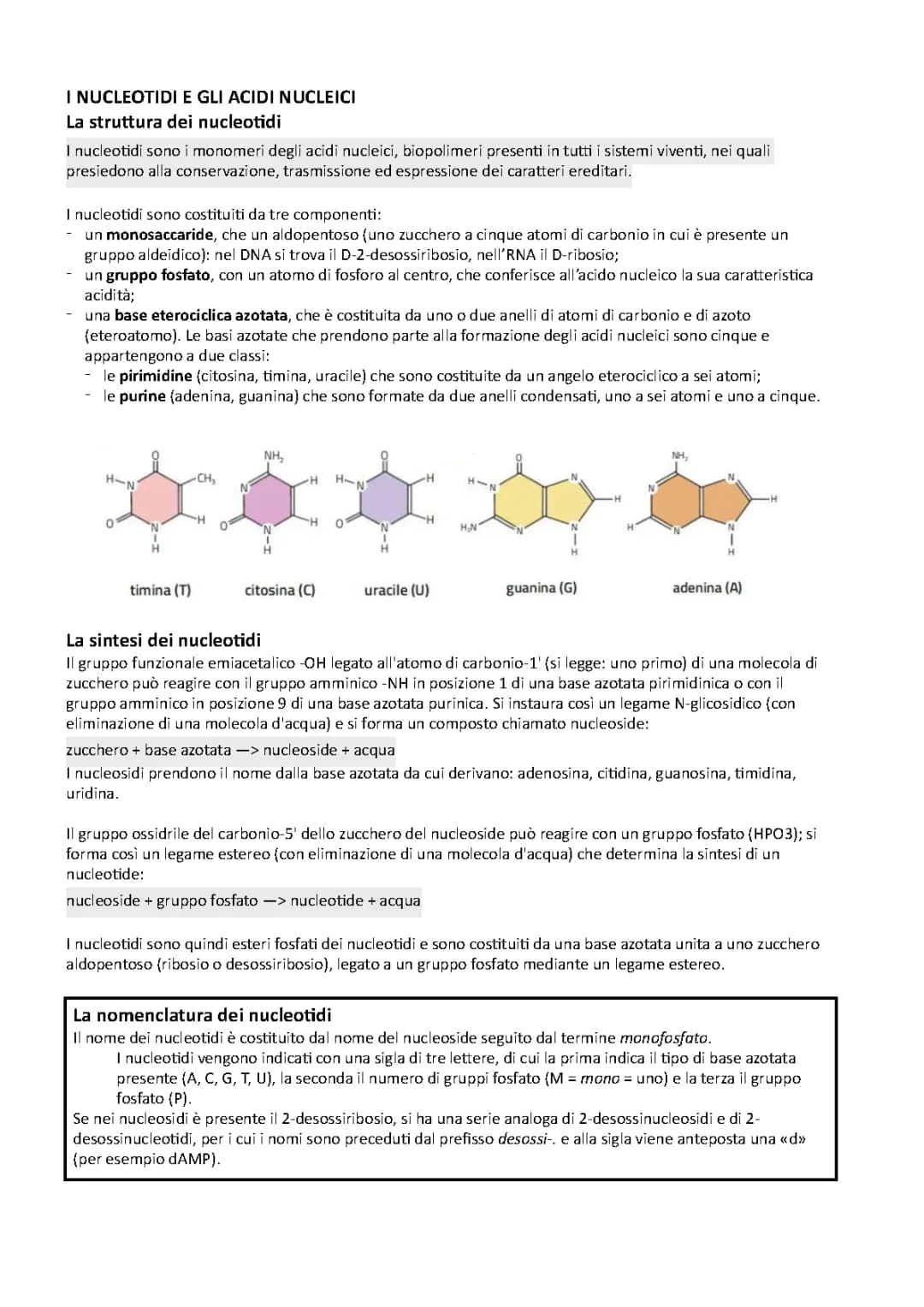 DNA 