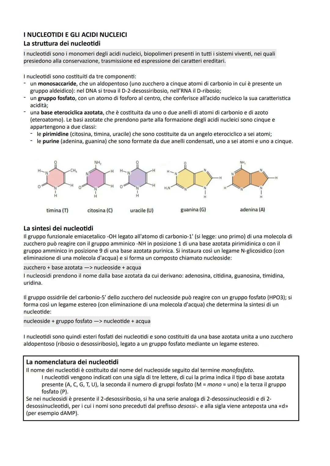 I NUCLEOTIDI E GLI ACIDI NUCLEICI
La struttura dei nucleotidi
I nucleotidi sono i monomeri degli acidi nucleici, biopolimeri presenti in tut