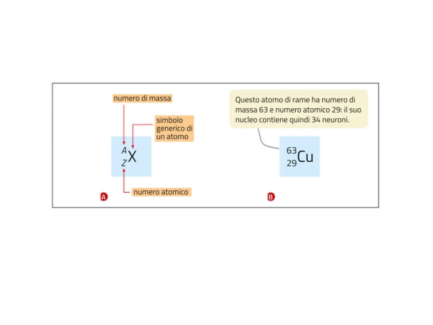 Particelle Atomiche
e
Modello atomico La scoperta degli elettroni, dei protoni e dei neutroni fece crollare il
primo dei punti fondamentali 