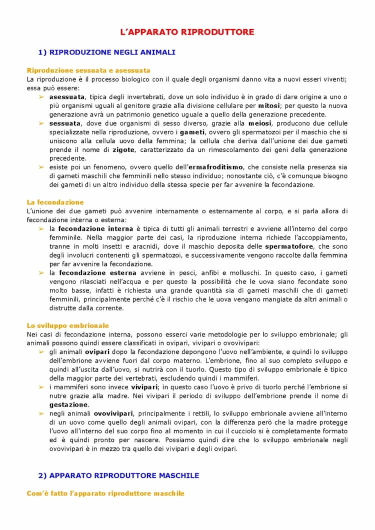 Know L'apparato riproduttore thumbnail