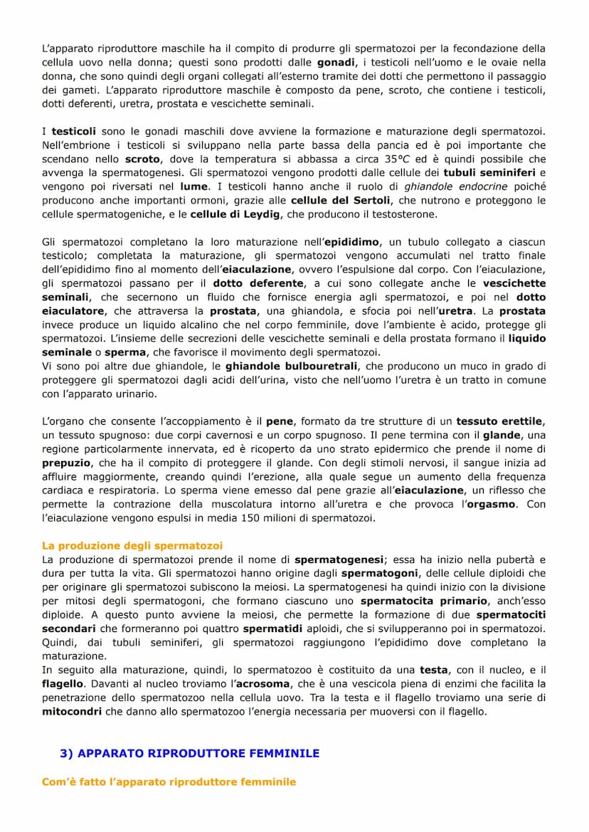 L'APPARATO RIPRODUTTORE
1) RIPRODUZIONE NEGLI ANIMALI
Riproduzione sessuata e asessuata
La riproduzione è il processo biologico con il quale