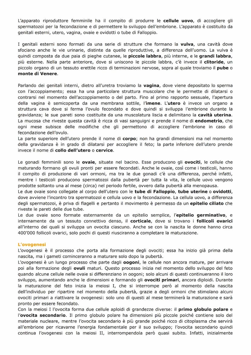 L'APPARATO RIPRODUTTORE
1) RIPRODUZIONE NEGLI ANIMALI
Riproduzione sessuata e asessuata
La riproduzione è il processo biologico con il quale