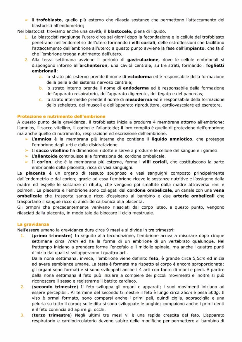L'APPARATO RIPRODUTTORE
1) RIPRODUZIONE NEGLI ANIMALI
Riproduzione sessuata e asessuata
La riproduzione è il processo biologico con il quale