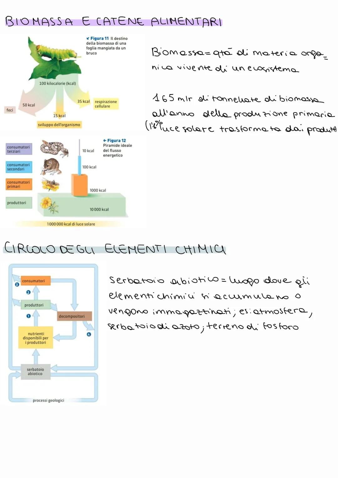 BIOLOGIA
A OGNI LIVELLO DI ORGANIZZAZIONE EMERGO
NO PROPRIETA DIVERSE
1 BIOSFERA
- porzione di superficie terrestre che ospita la vita.
Comp