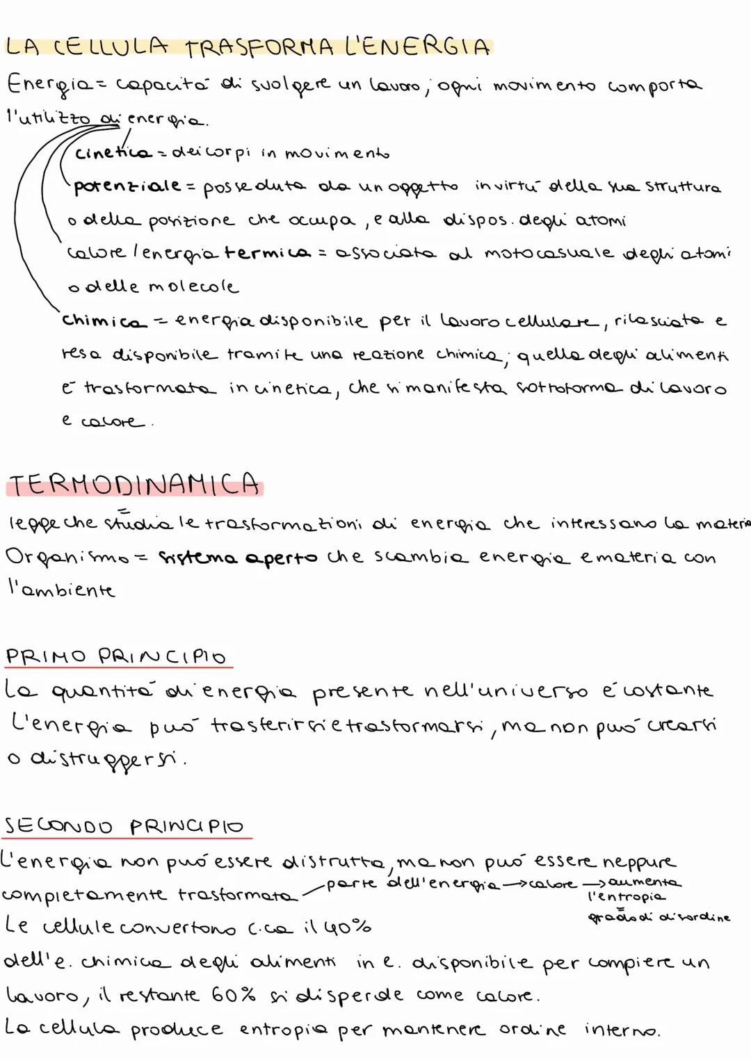 BIOLOGIA
A OGNI LIVELLO DI ORGANIZZAZIONE EMERGO
NO PROPRIETA DIVERSE
1 BIOSFERA
- porzione di superficie terrestre che ospita la vita.
Comp
