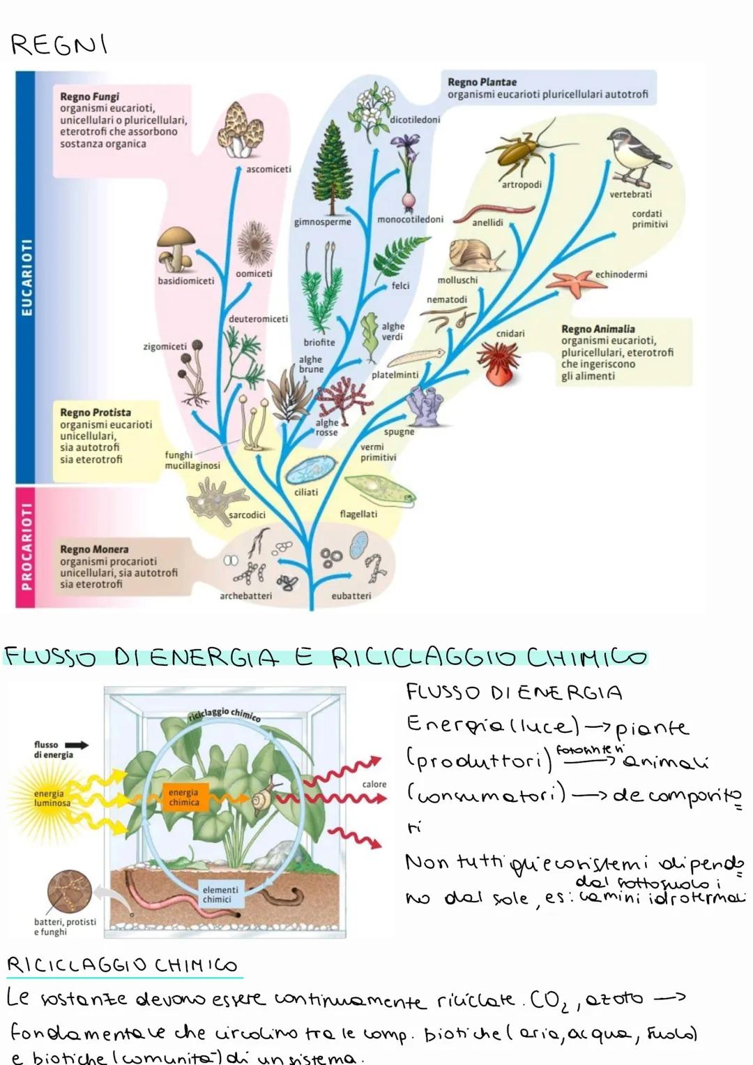 BIOLOGIA
A OGNI LIVELLO DI ORGANIZZAZIONE EMERGO
NO PROPRIETA DIVERSE
1 BIOSFERA
- porzione di superficie terrestre che ospita la vita.
Comp