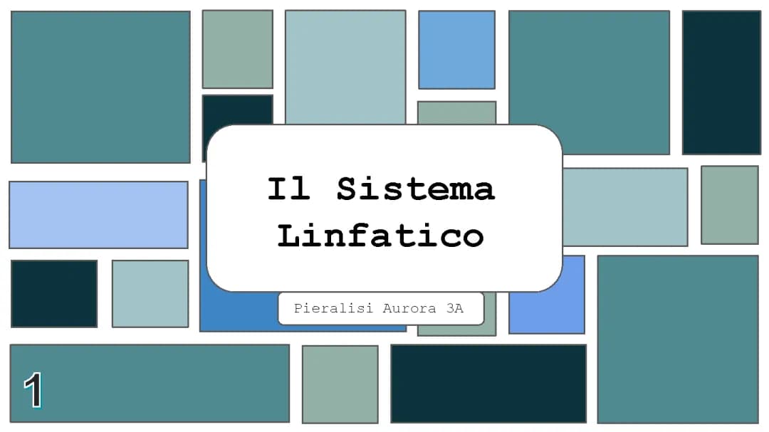 IL SISTEMA LINFATICO