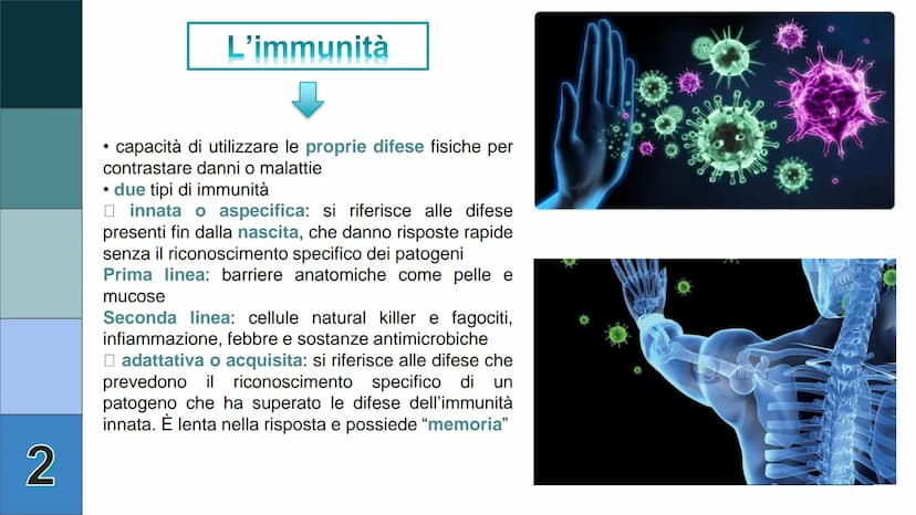 1
L
Il Sistema
Linfatico
Pieralisi Aurora 3A 2
L'immunità
• capacità di utilizzare le proprie difese fisiche per
contrastare danni o malatti