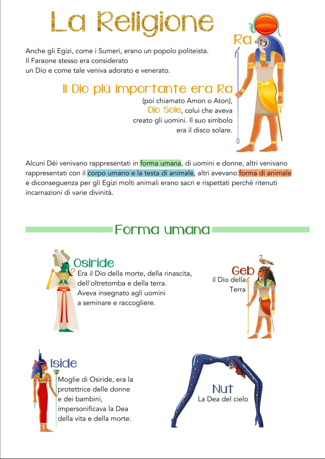 La Religione Ra
Anche gli Egizi, come i Sumeri, erano un popolo politeista.
Il Faraone stesso era considerato
un Dio e come tale veniva ador