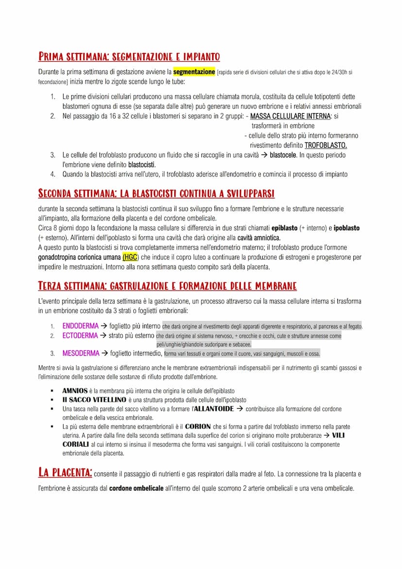 APPARATO RIPRODUTTORE E LO SVILUPPO
GLI APPARATI RIPRODUTTORI MASCHILE E FEMMINILE
LA RIPRODUZIONE UMANA: assicura il mantenimento della spe