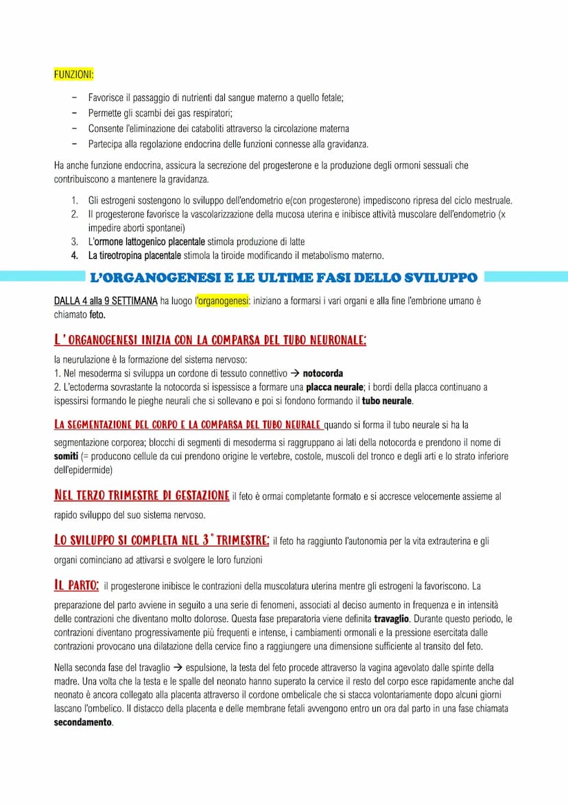 APPARATO RIPRODUTTORE E LO SVILUPPO
GLI APPARATI RIPRODUTTORI MASCHILE E FEMMINILE
LA RIPRODUZIONE UMANA: assicura il mantenimento della spe