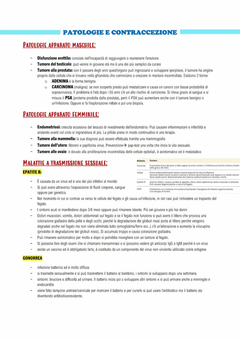 APPARATO RIPRODUTTORE E LO SVILUPPO
GLI APPARATI RIPRODUTTORI MASCHILE E FEMMINILE
LA RIPRODUZIONE UMANA: assicura il mantenimento della spe