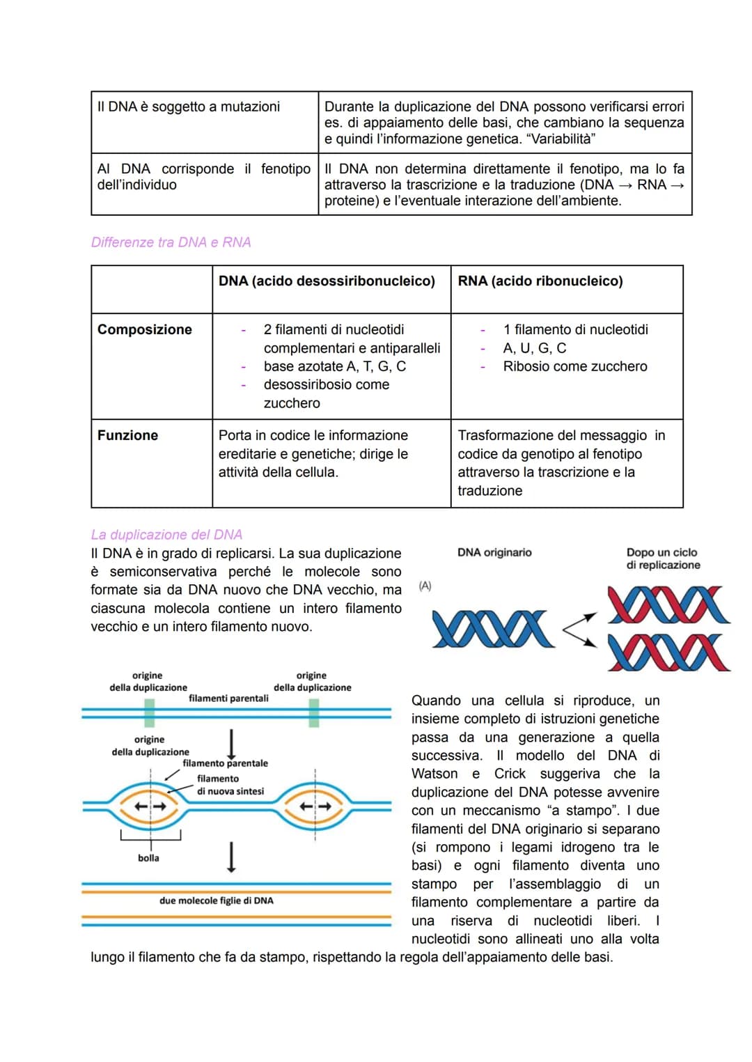 Scoperta del DNA e i primi esperimenti
Nel 1869 il medico Friedrich Miescher scoprì nei nuclei di globuli bianchi (che
costituivano il "pus"