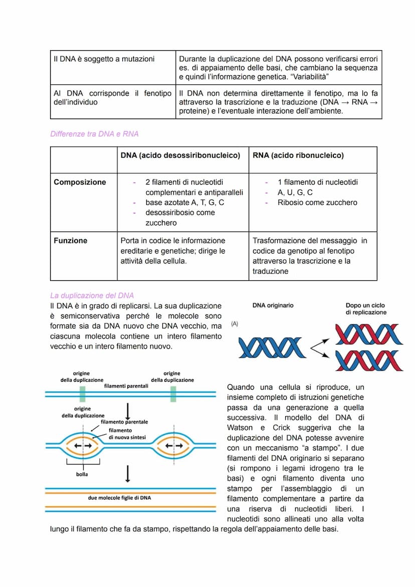 Scoperta del DNA e i primi esperimenti
Nel 1869 il medico Friedrich Miescher scoprì nei nuclei di globuli bianchi (che
costituivano il "pus"