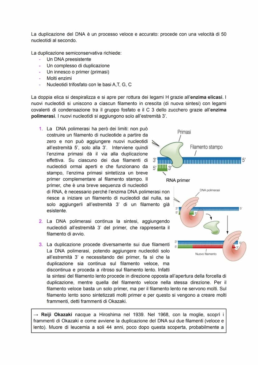 Scoperta del DNA e i primi esperimenti
Nel 1869 il medico Friedrich Miescher scoprì nei nuclei di globuli bianchi (che
costituivano il "pus"