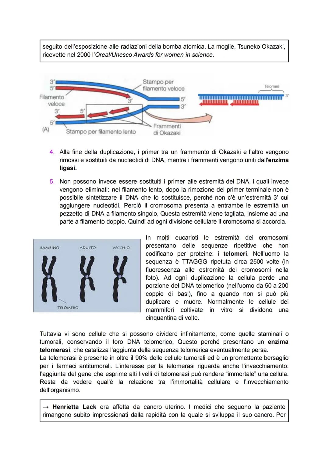 Scoperta del DNA e i primi esperimenti
Nel 1869 il medico Friedrich Miescher scoprì nei nuclei di globuli bianchi (che
costituivano il "pus"