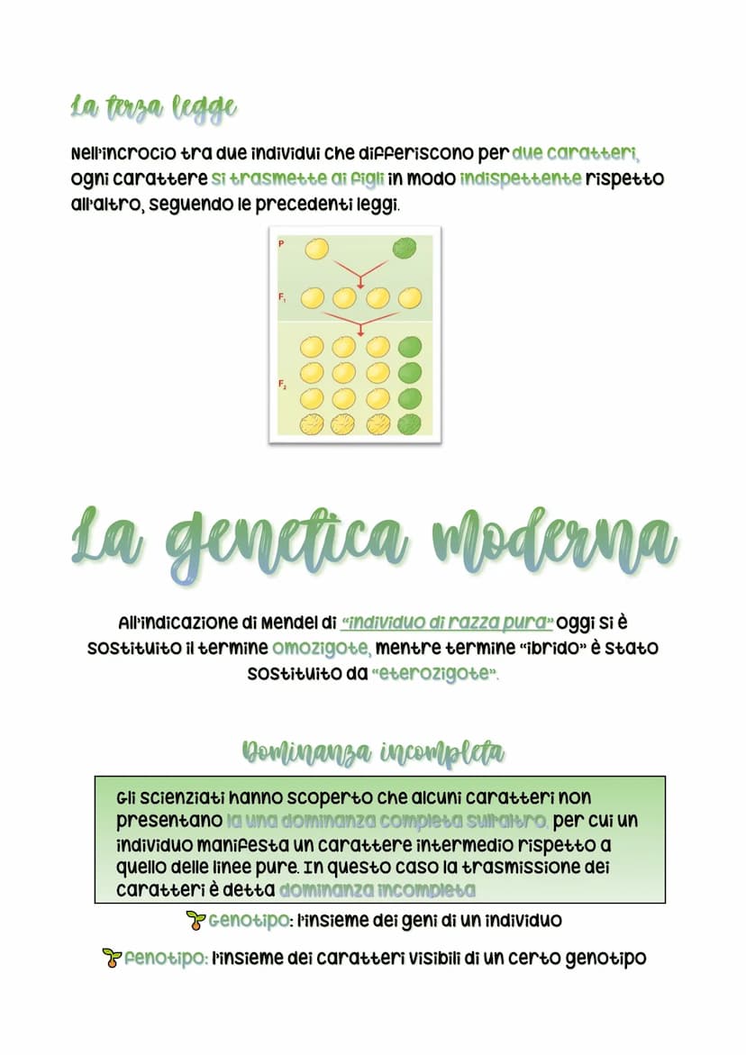 La Genetica
La Genetica è un ramo della biologia che studia i geni ei caratteri
ereditari
Mendel
Gregor Mendel era monaco boemo
appassionato