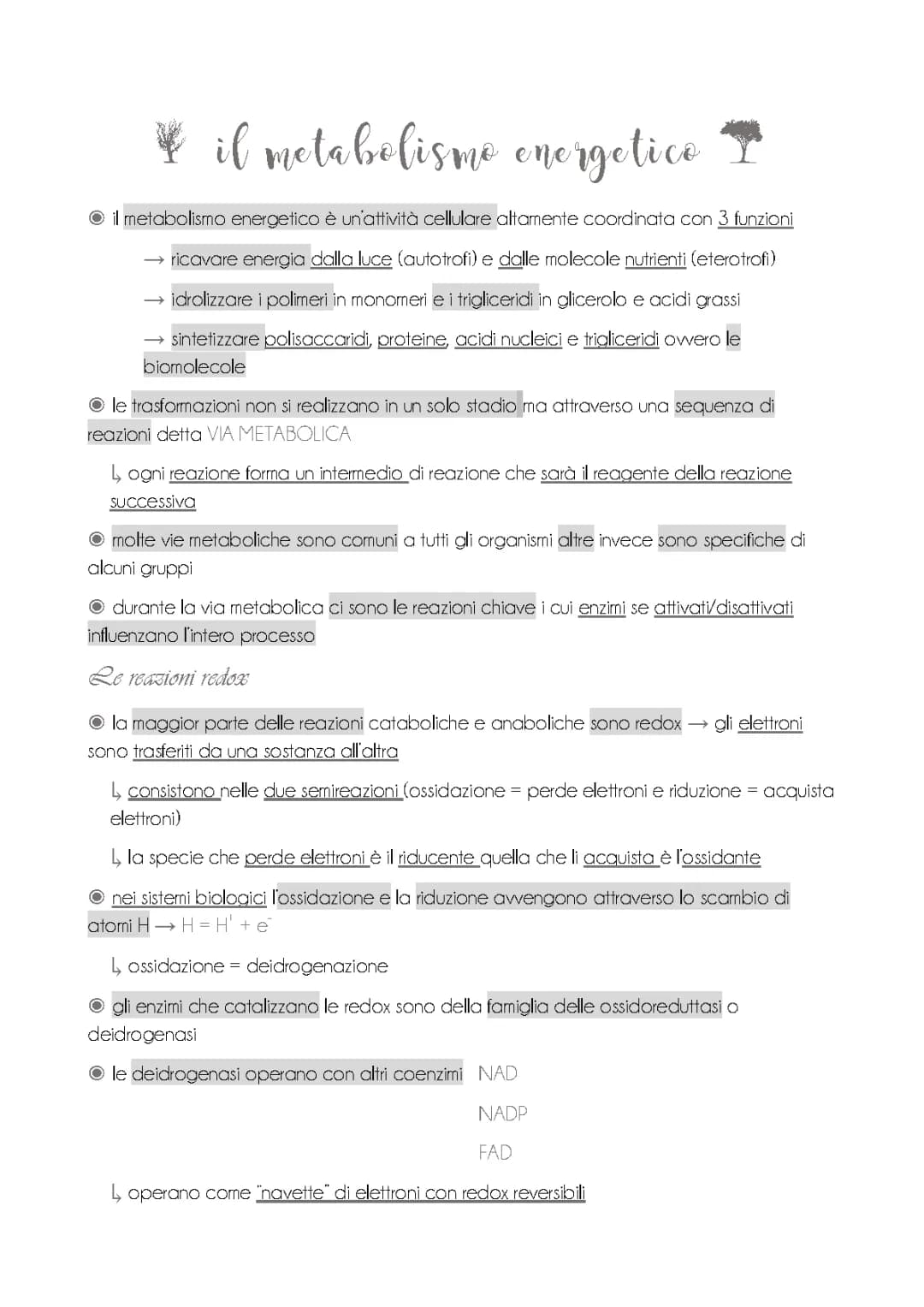 Metabolismo Energetico: Spiegazione Semplice e PDF Utili