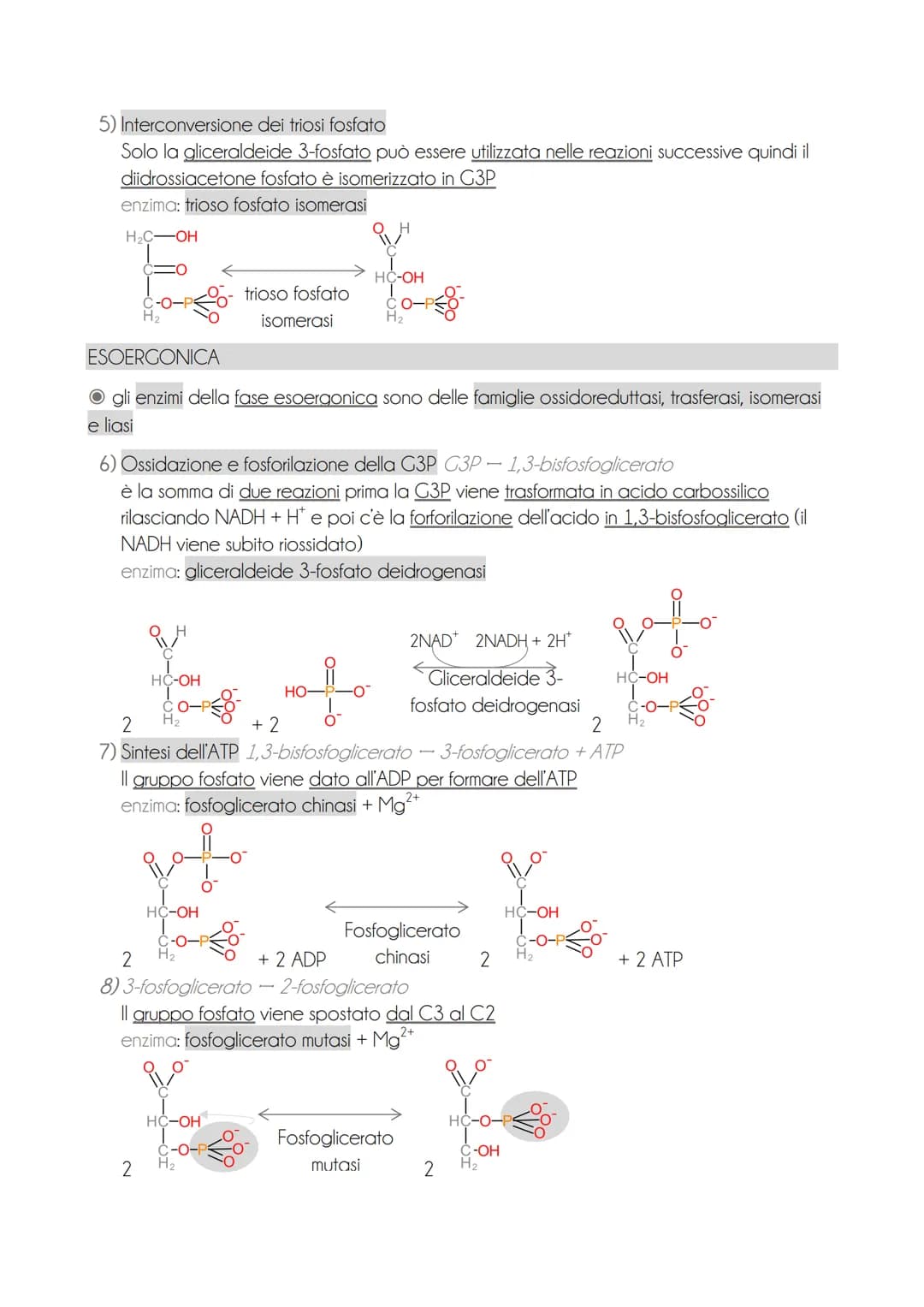* il motabolisme energetice
O il metabolismo energetico è un'attività cellulare altamente coordinata con 3 funzioni
→ ricavare energia dalla