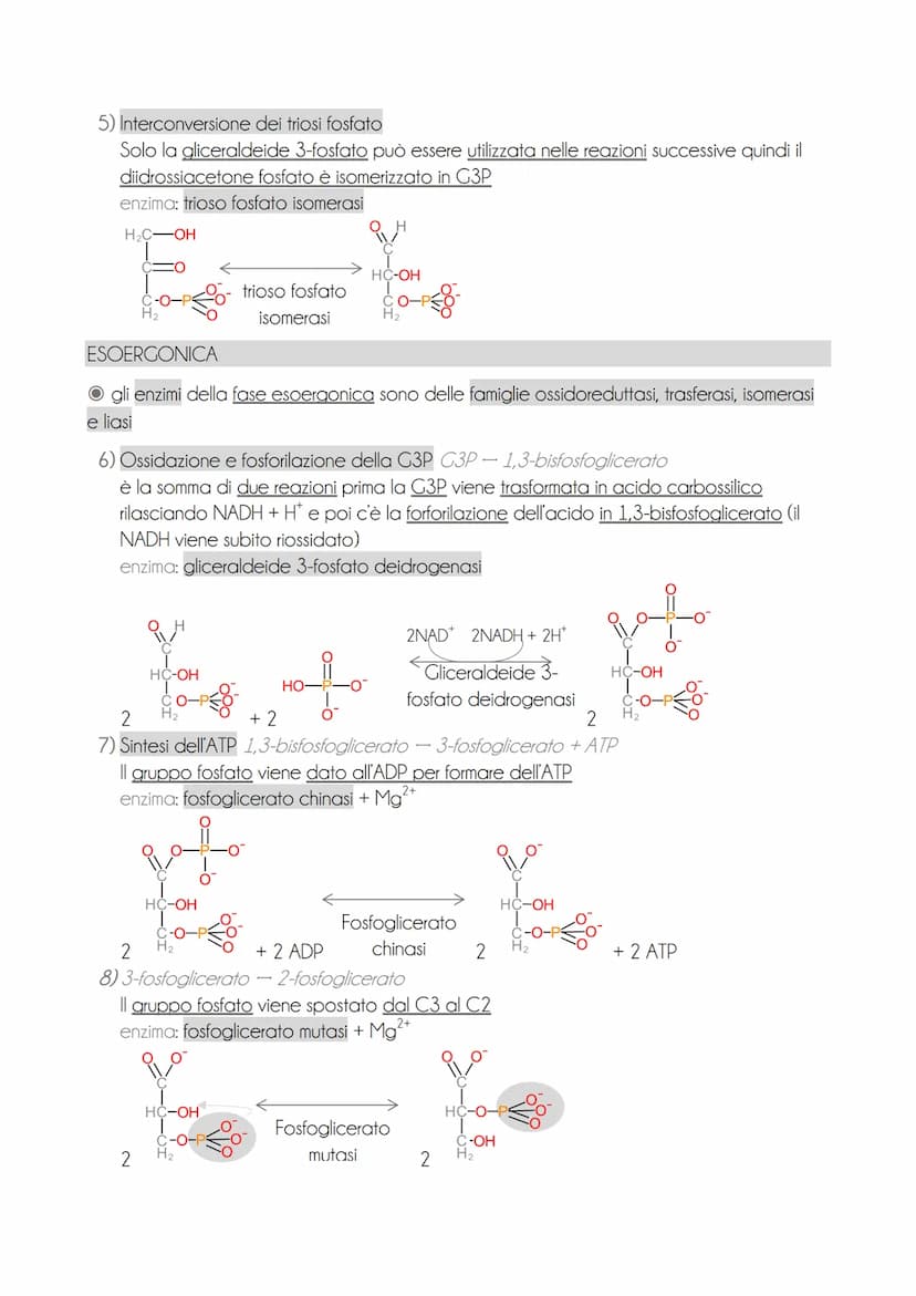 * il motabolisme energetice
O il metabolismo energetico è un'attività cellulare altamente coordinata con 3 funzioni
→ ricavare energia dalla