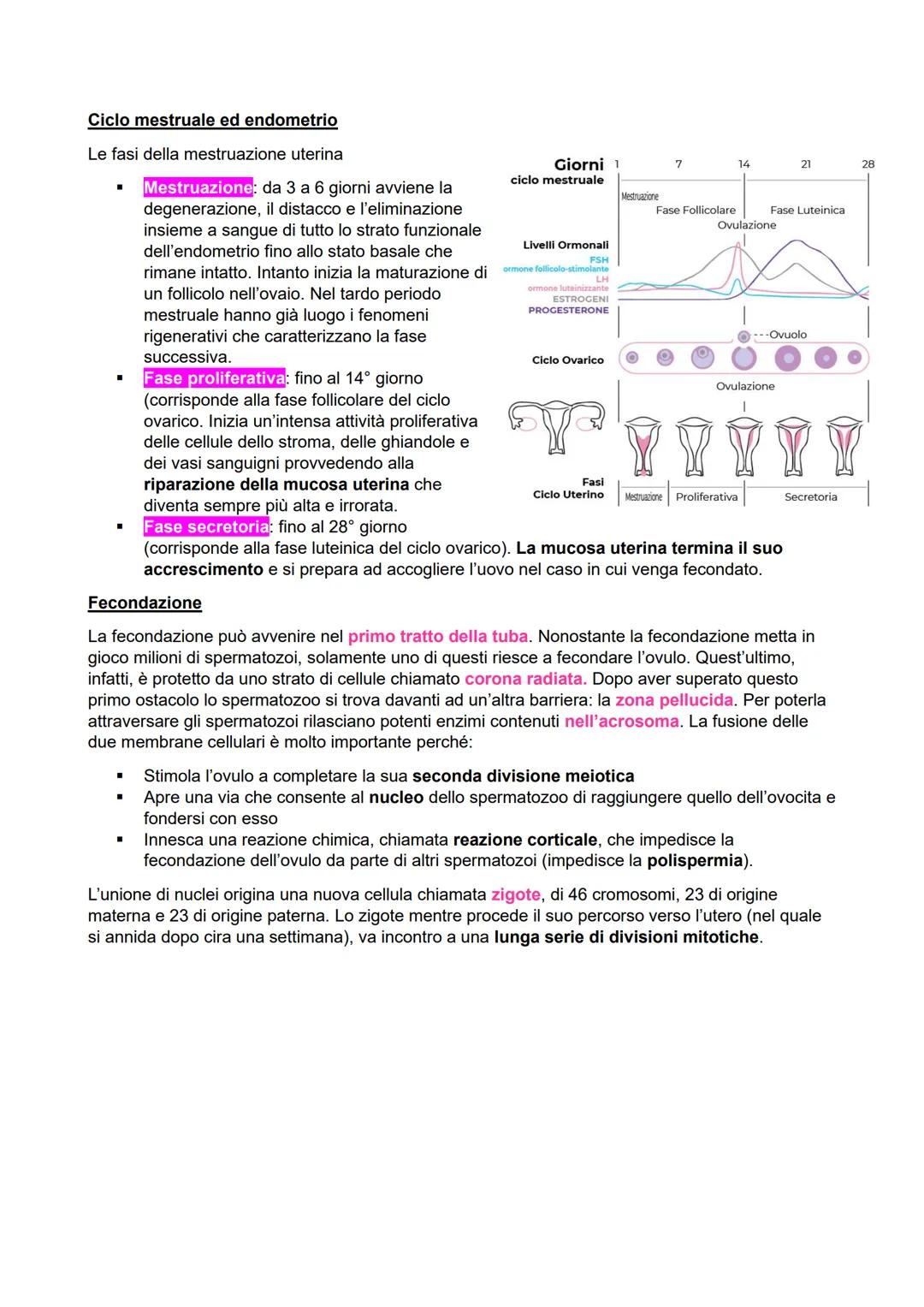 APPARATO RIPRODUTTORE
Negli esseri umani gli apparati riproduttivi maschili e femminili hanno strutture molto diverse in
funzione del compit