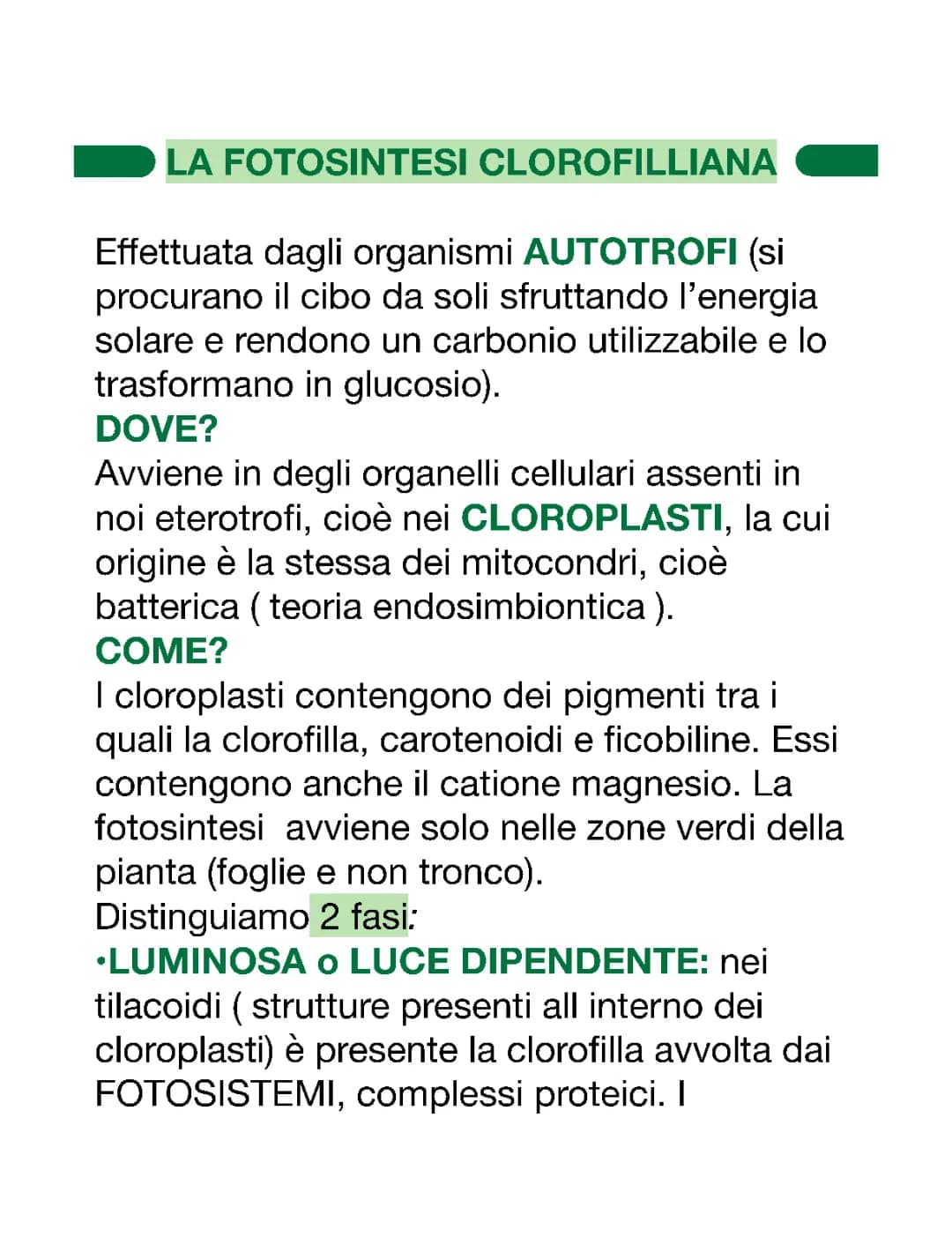 FOTOSINTESI CLOROFILLIANA 