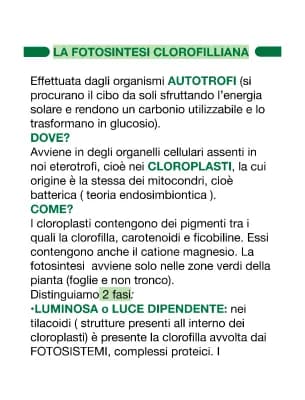 Know FOTOSINTESI CLOROFILLIANA  thumbnail