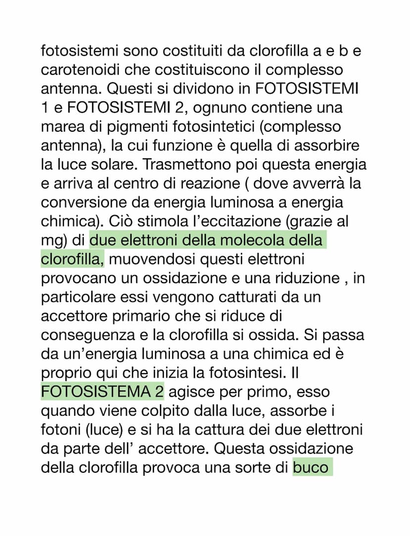LA FOTOSINTESI CLOROFILLIANA
Effettuata dagli organismi AUTOTROFI (si
procurano il cibo da soli sfruttando l'energia
solare e rendono un car