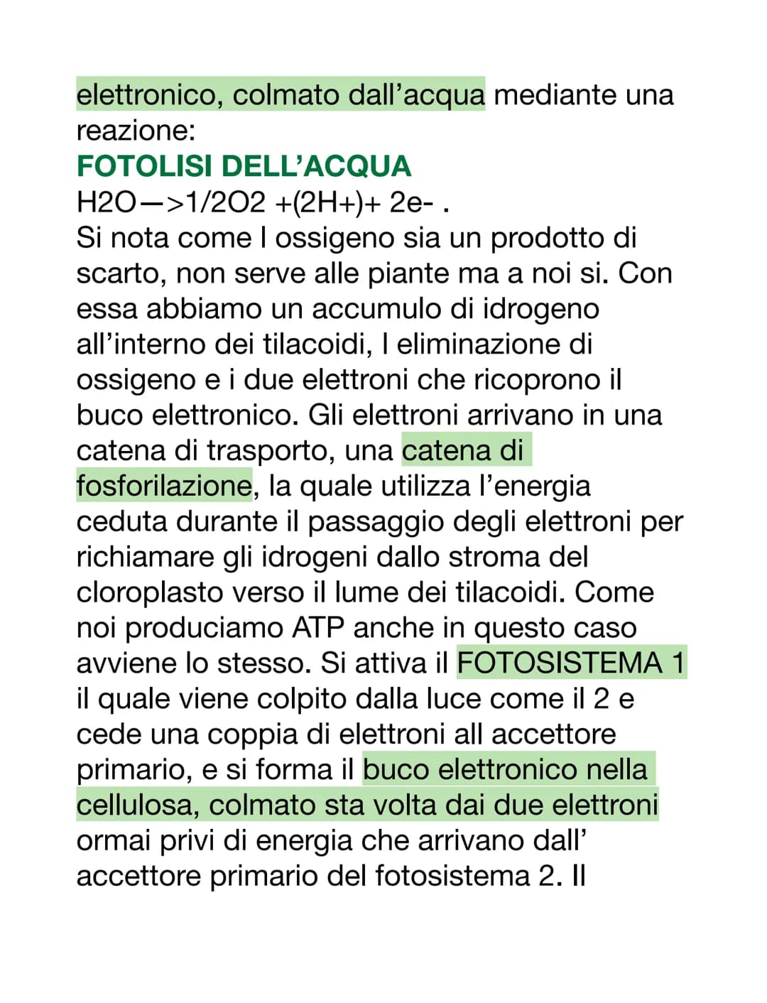 LA FOTOSINTESI CLOROFILLIANA
Effettuata dagli organismi AUTOTROFI (si
procurano il cibo da soli sfruttando l'energia
solare e rendono un car