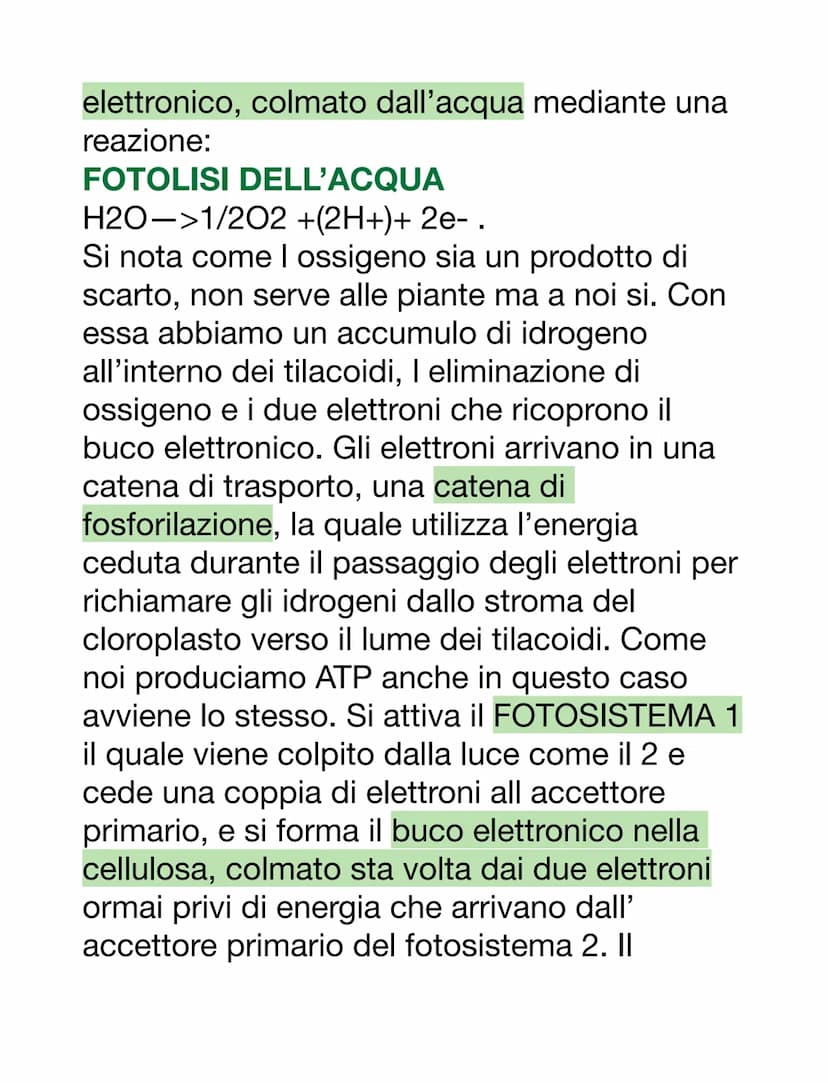 LA FOTOSINTESI CLOROFILLIANA
Effettuata dagli organismi AUTOTROFI (si
procurano il cibo da soli sfruttando l'energia
solare e rendono un car
