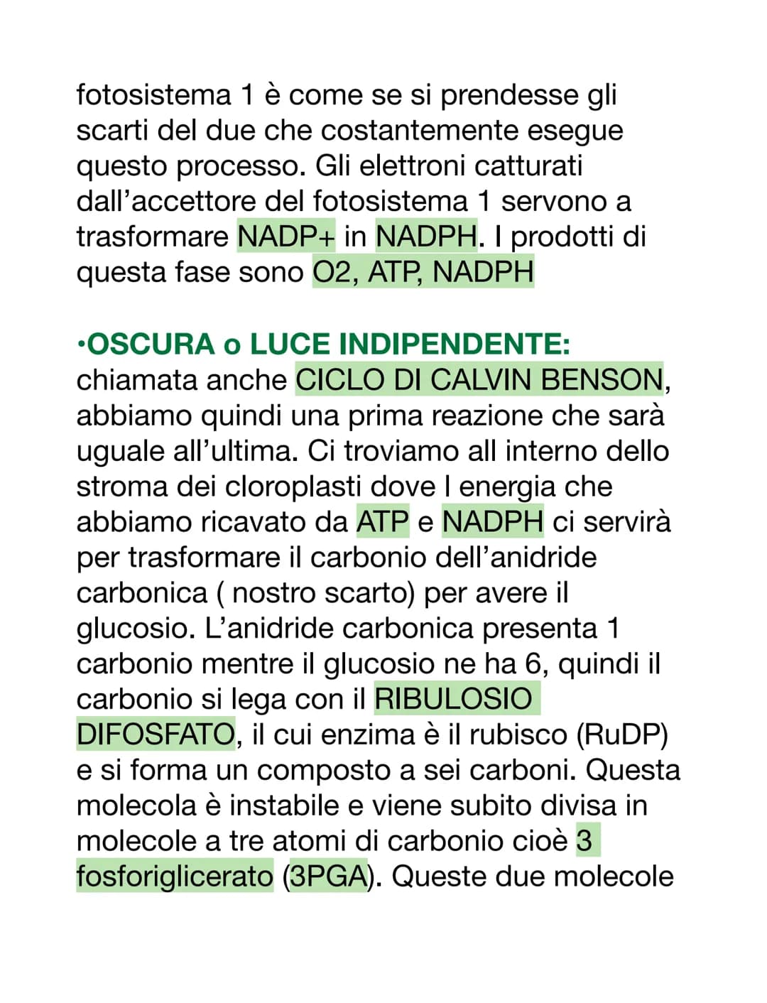 LA FOTOSINTESI CLOROFILLIANA
Effettuata dagli organismi AUTOTROFI (si
procurano il cibo da soli sfruttando l'energia
solare e rendono un car