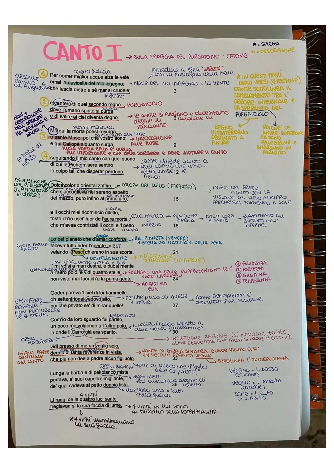 Analisi del Canto 1 del Purgatorio - Riassunto e Appunti
