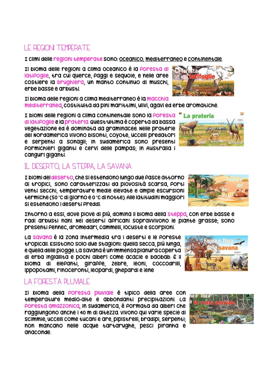 La Biosfera e i Biomi
UN SOTTILE STRATO DI VITA
La biosfera è il luogo sulla Terra dove si sviluppano animali e vegetali. Essa
funziona graz