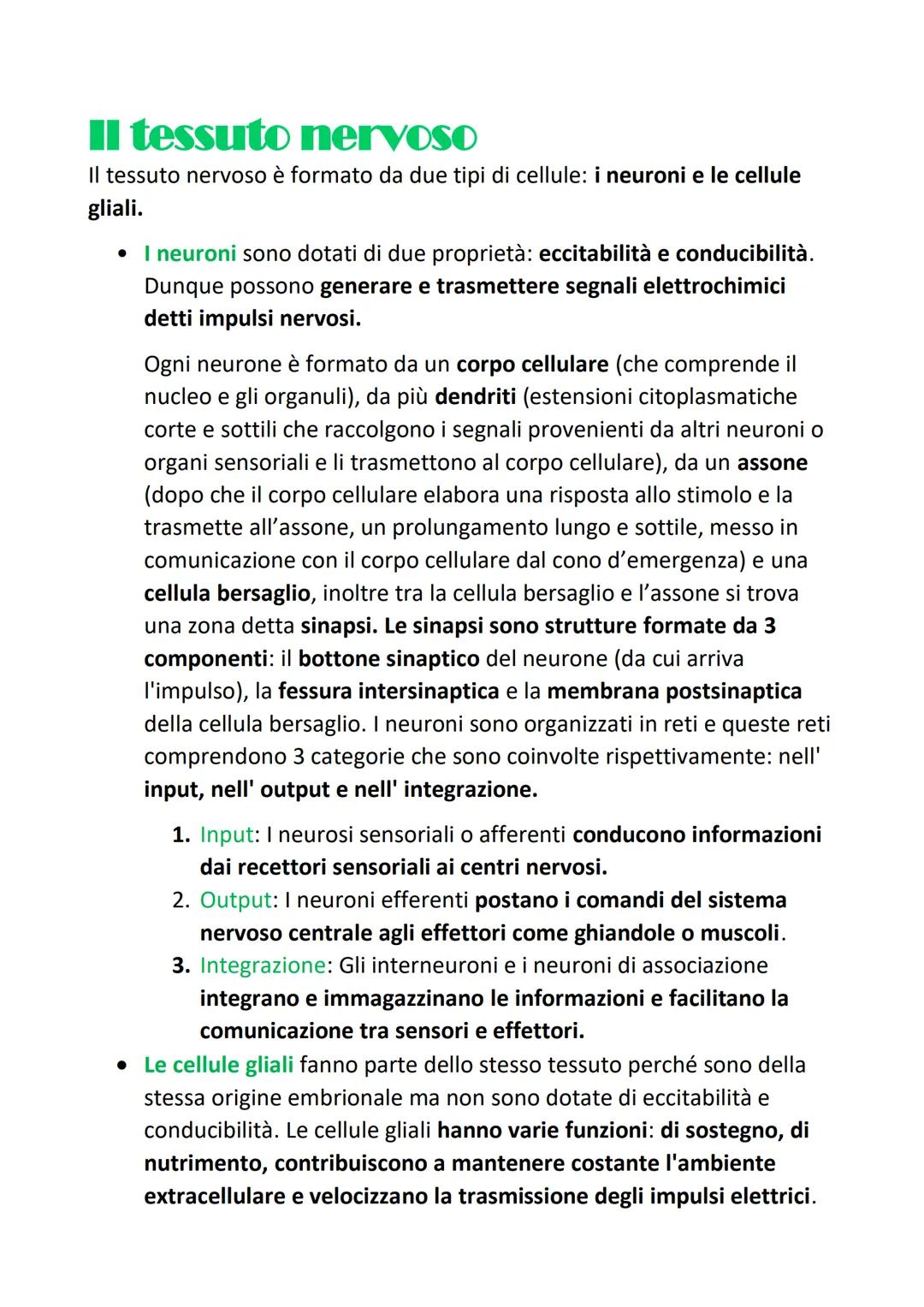 L'organizzazione gerarchica
strutturale
del corpo umano
Si definisce organizzazione gerarchica perchè:
Organizzazione= ogni tessuto, sistema