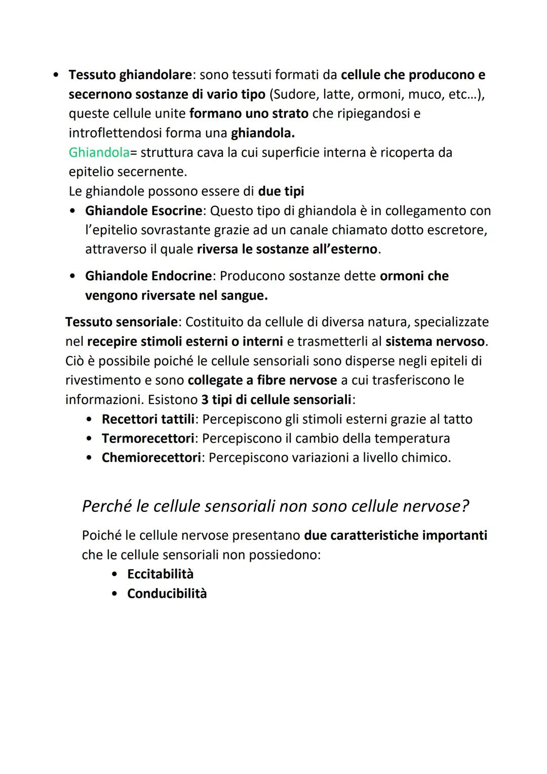 L'organizzazione gerarchica
strutturale
del corpo umano
Si definisce organizzazione gerarchica perchè:
Organizzazione= ogni tessuto, sistema