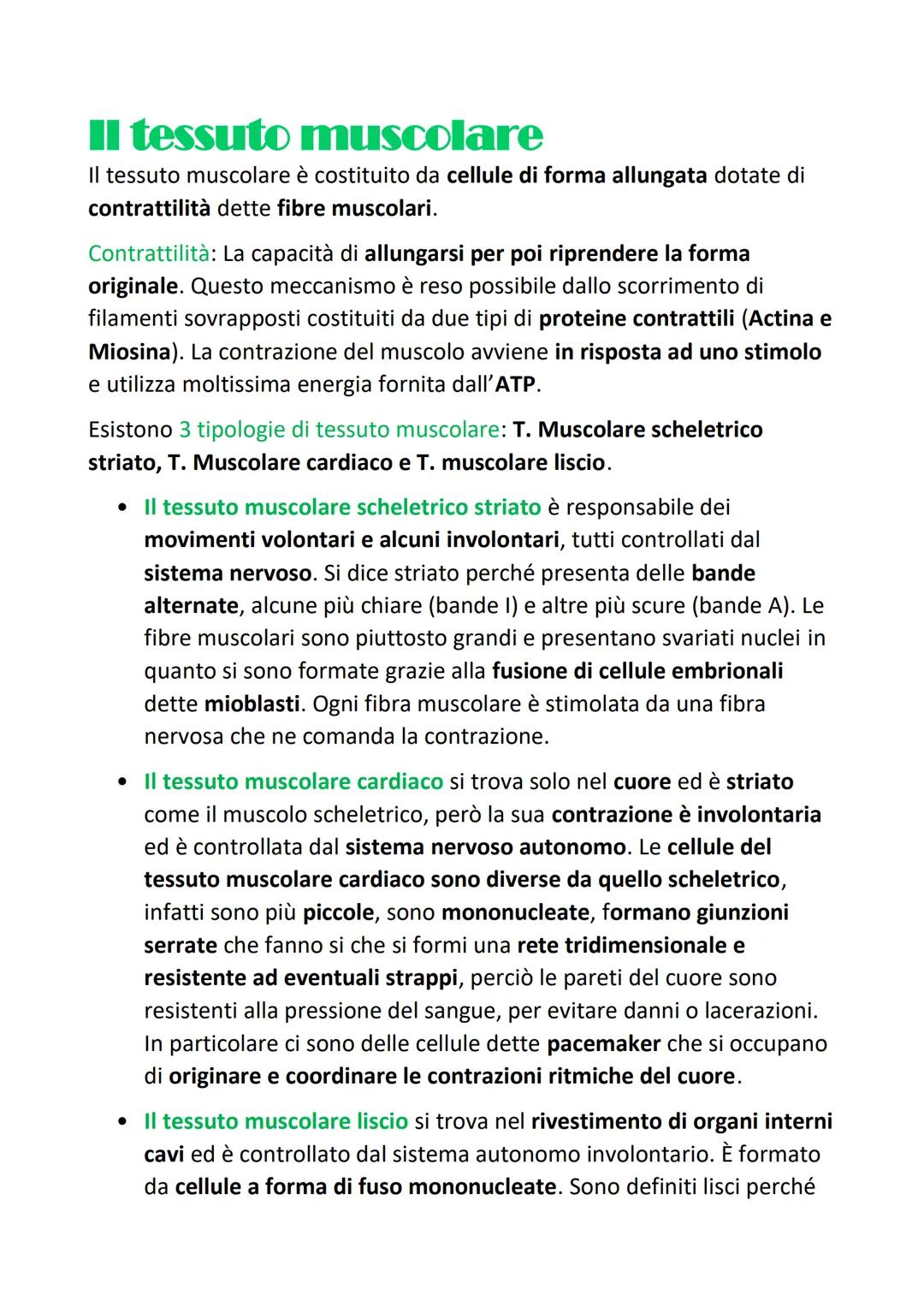 L'organizzazione gerarchica
strutturale
del corpo umano
Si definisce organizzazione gerarchica perchè:
Organizzazione= ogni tessuto, sistema