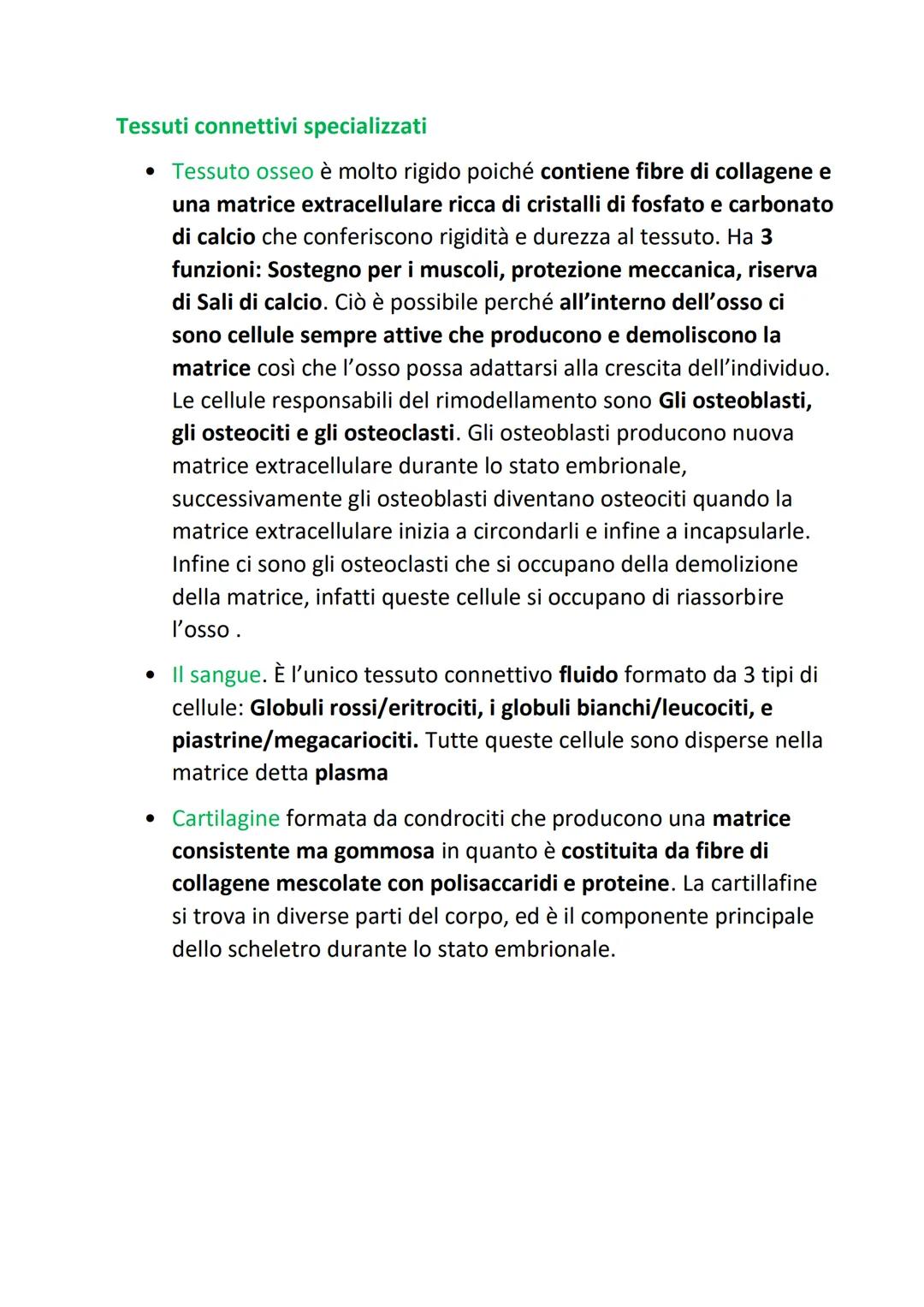 L'organizzazione gerarchica
strutturale
del corpo umano
Si definisce organizzazione gerarchica perchè:
Organizzazione= ogni tessuto, sistema