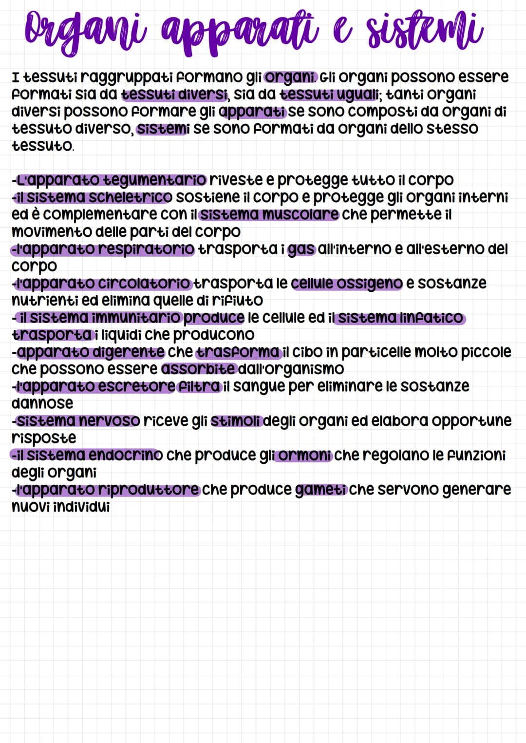 organi apparati e sistemi
I tessuti raggruppati formano gli organi. Gli organi possono essere
Formati sia da tessuti diversi, sia da tessuti