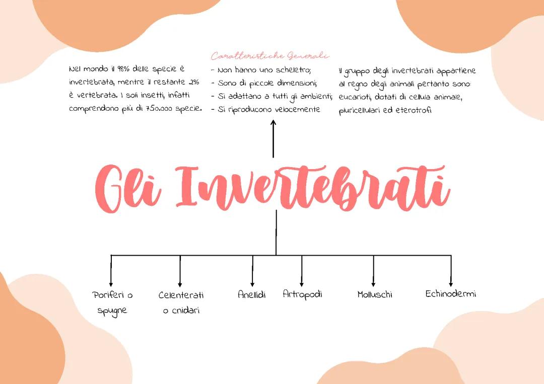 Scopri gli Invertebrati: Classificazione e Curiosità per la Scuola