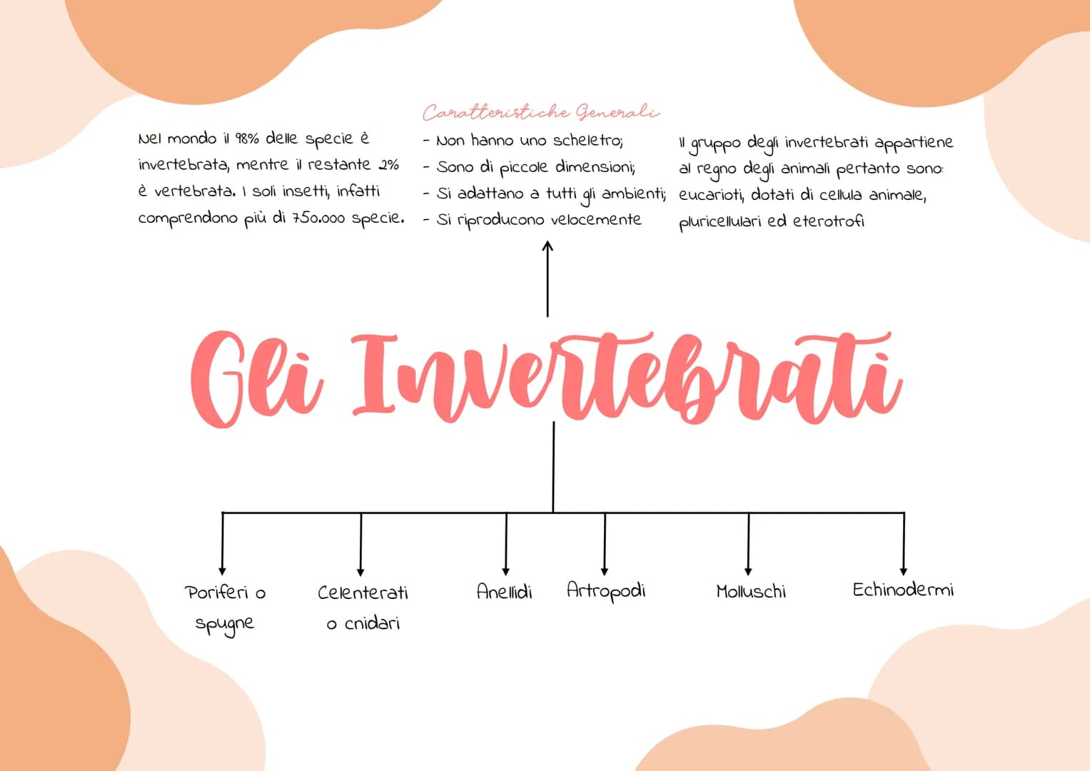 Nel mondo il 98% delle specie è
invertebrata, mentre il restante 2%
è vertebrata. I soli insetti, infatti
comprendono più di 750.000 specie.