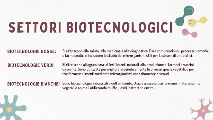 €
LE BIOTECNOLOGIE
* DEFINIZIONE
Le biotecnologie sono l'applicazione tecnologica che si serve dei sistemi
biologici, degli organismi vivent