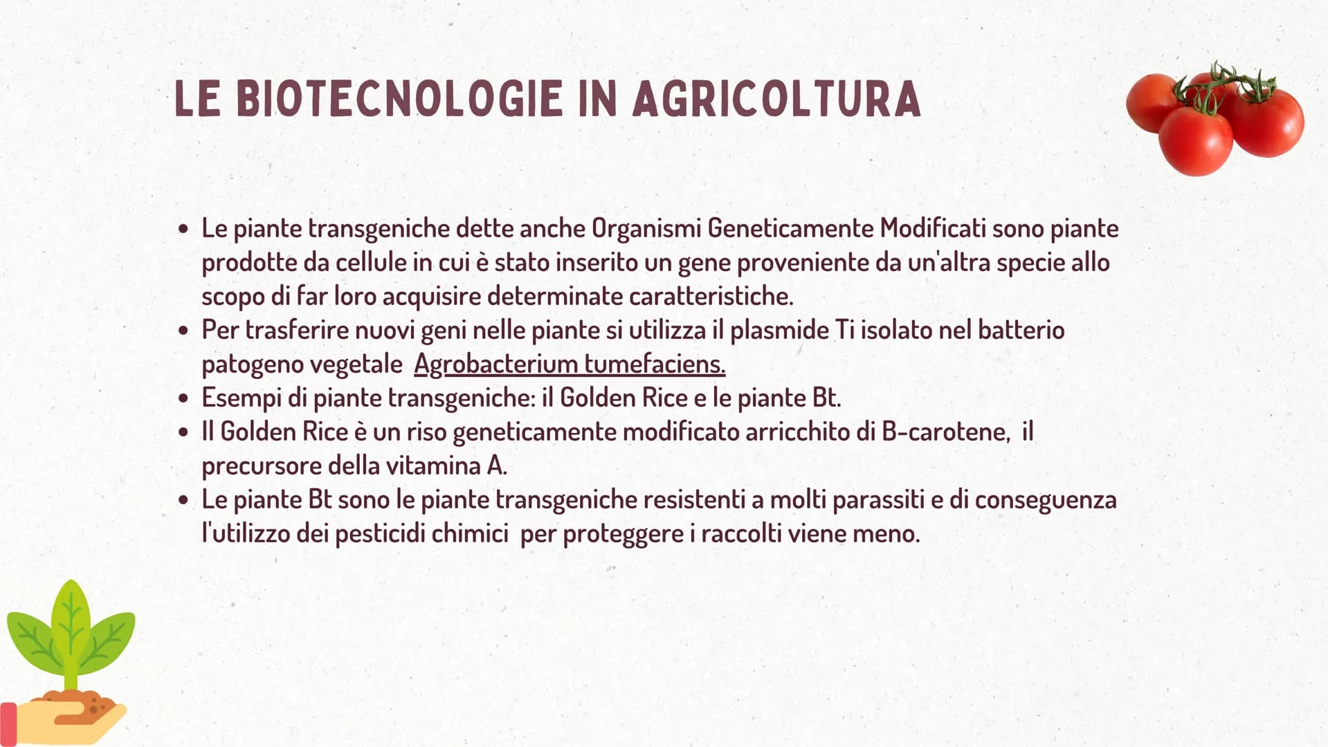 €
LE BIOTECNOLOGIE
* DEFINIZIONE
Le biotecnologie sono l'applicazione tecnologica che si serve dei sistemi
biologici, degli organismi vivent