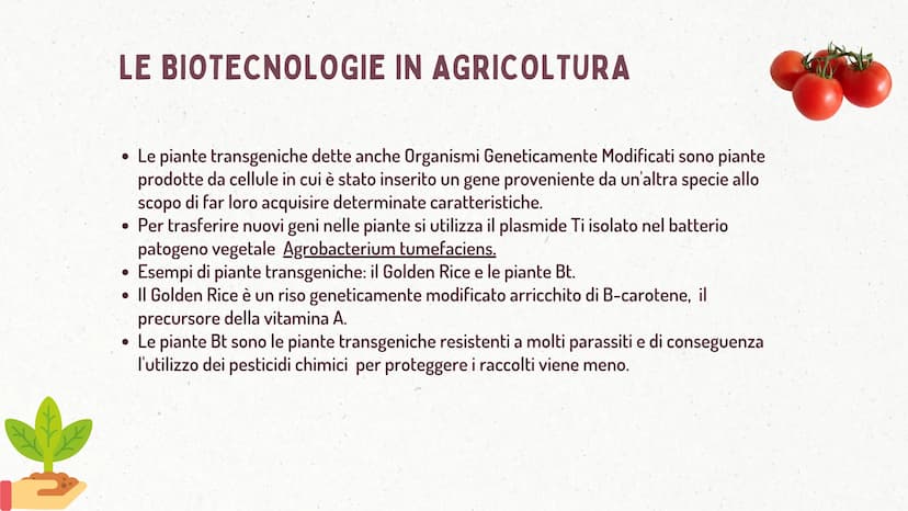€
LE BIOTECNOLOGIE
* DEFINIZIONE
Le biotecnologie sono l'applicazione tecnologica che si serve dei sistemi
biologici, degli organismi vivent