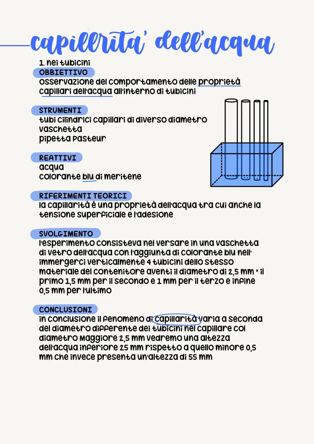 ·capilerita' dell'acqua
1. nei tubicini
OBBIETTIVO
osservazione del comportamento delle proprietà
capillari dell'acqua all'interno di tubici