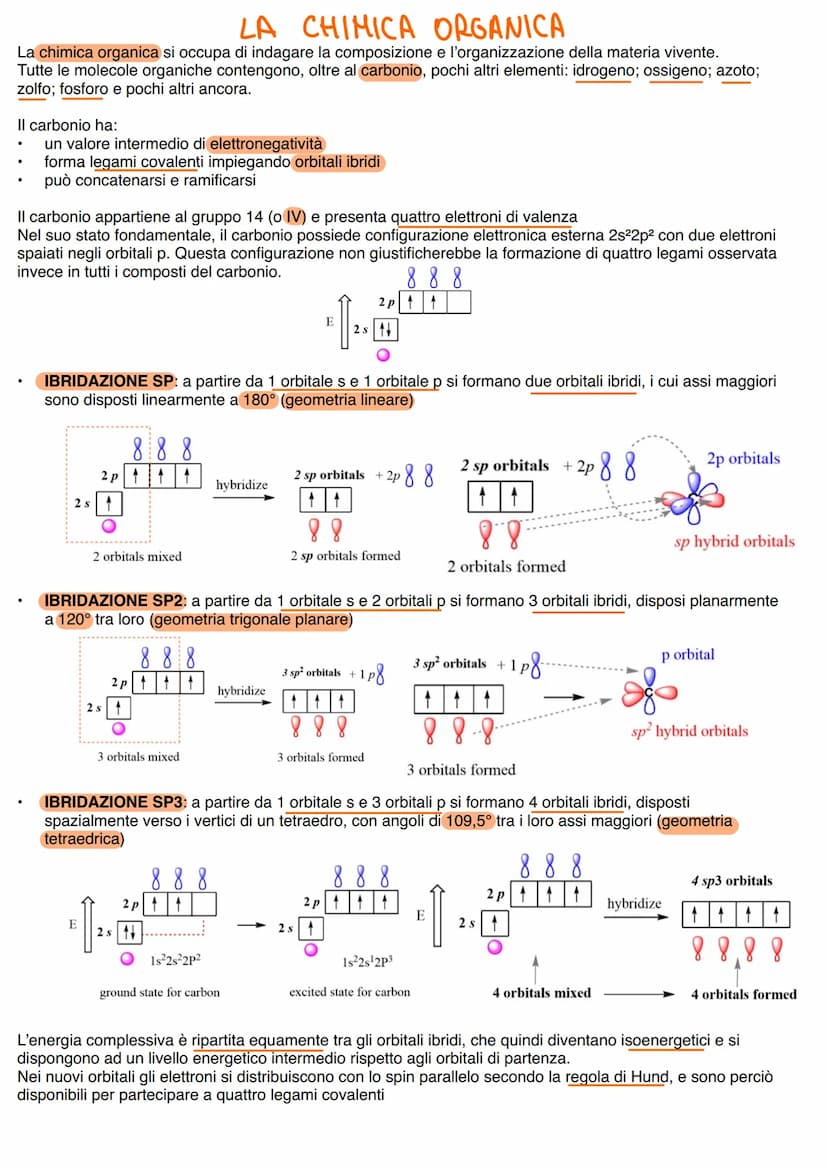 LA CHIMICA ORGANICA
La chimica organica si occupa di indagare la composizione e l'organizzazione della materia vivente.
Tutte le molecole or